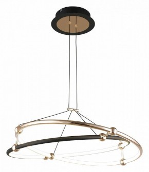 Подвесной светильник Aployt Diana APL.034.03.40 в Камышлове - kamyshlov.mebel24.online | фото 2