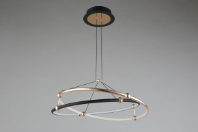 Подвесной светильник Aployt Diana APL.034.03.40 в Камышлове - kamyshlov.mebel24.online | фото 6