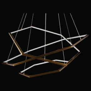 Подвесной светильник Aployt Polunia APL.021.03.136 в Камышлове - kamyshlov.mebel24.online | фото 5