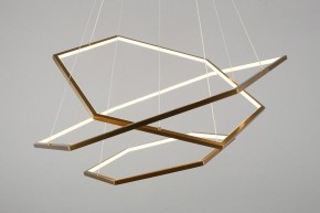 Подвесной светильник Aployt Polunia APL.021.03.136 в Камышлове - kamyshlov.mebel24.online | фото 7