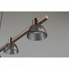 Подвесной светильник Aployt Rezeda APL.788.03.06 в Камышлове - kamyshlov.mebel24.online | фото 4