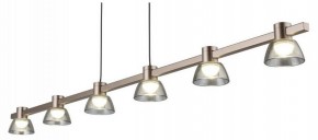 Подвесной светильник Aployt Rezeda APL.788.03.06 в Камышлове - kamyshlov.mebel24.online | фото 7