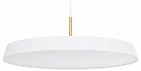 Подвесной светильник Arlight ELEGANT 033924(1) в Камышлове - kamyshlov.mebel24.online | фото
