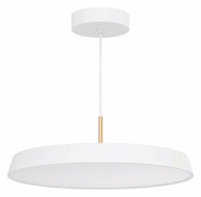 Подвесной светильник Arlight ELEGANT 033925(1) в Камышлове - kamyshlov.mebel24.online | фото 2