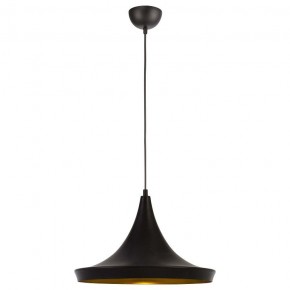 Подвесной светильник Arte Lamp Capello A3406SP-1BK в Камышлове - kamyshlov.mebel24.online | фото 2