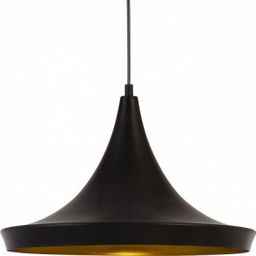 Подвесной светильник Arte Lamp Capello A3406SP-1BK в Камышлове - kamyshlov.mebel24.online | фото 3