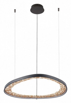Подвесной светильник Arte Lamp Cinta A1847SP-46BK в Камышлове - kamyshlov.mebel24.online | фото 2