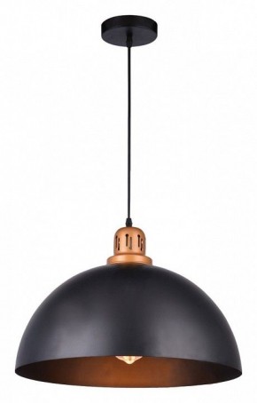 Подвесной светильник Arte Lamp Eurica A4249SP-1BK в Камышлове - kamyshlov.mebel24.online | фото 2