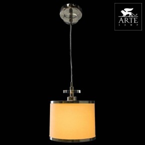 Подвесной светильник Arte Lamp Furore A3990SP-1CC в Камышлове - kamyshlov.mebel24.online | фото 3