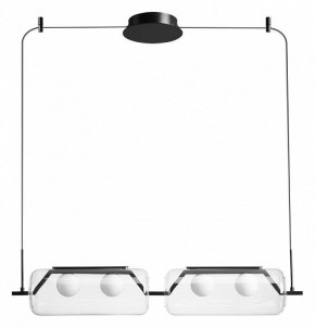 Подвесной светильник Arte Lamp Geneva A2341SP-4BK в Камышлове - kamyshlov.mebel24.online | фото 2