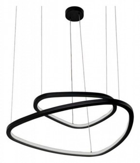 Подвесной светильник Arte Lamp Madison A2194SP-2BK в Камышлове - kamyshlov.mebel24.online | фото 3