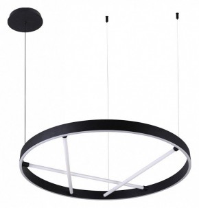 Подвесной светильник Arte Lamp Ricco A1874SP-45BK в Камышлове - kamyshlov.mebel24.online | фото 2