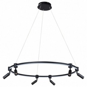 Подвесной светильник Arte Lamp Ring A2186SP-1BK в Камышлове - kamyshlov.mebel24.online | фото 2