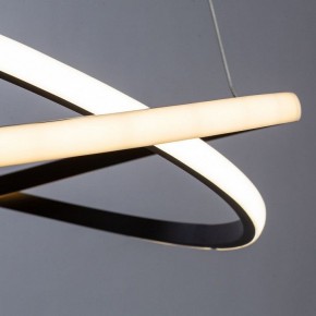Подвесной светильник Arte Lamp Swing A2522SP-2BK в Камышлове - kamyshlov.mebel24.online | фото 2