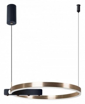 Подвесной светильник Arte Lamp Veritate A2221SP-1BR в Камышлове - kamyshlov.mebel24.online | фото 3