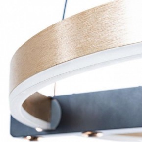 Подвесной светильник Arte Lamp Veritate A2221SP-1BR в Камышлове - kamyshlov.mebel24.online | фото 6