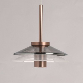 Подвесной светильник DeMarkt Ауксис 12 722013303 в Камышлове - kamyshlov.mebel24.online | фото 6