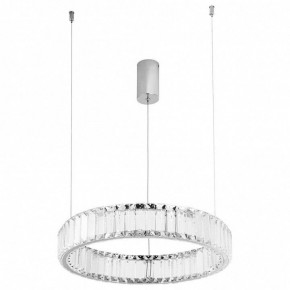 Подвесной светильник Divinare Renata 1135/02 SP-24 в Камышлове - kamyshlov.mebel24.online | фото