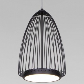 Подвесной светильник Eurosvet Comodita 40009/1 LED черный в Камышлове - kamyshlov.mebel24.online | фото