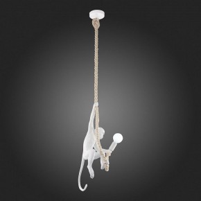 Подвесной светильник EVOLUCE Tenato SLE115103-01 в Камышлове - kamyshlov.mebel24.online | фото 4