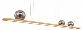 Подвесной светильник Favourite Bilico 4549-3P в Камышлове - kamyshlov.mebel24.online | фото 2