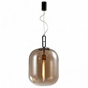 Подвесной светильник Favourite Canister 4264-1P в Камышлове - kamyshlov.mebel24.online | фото 2