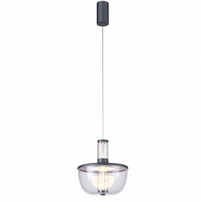 Подвесной светильник Favourite Flaska 4312-1P в Камышлове - kamyshlov.mebel24.online | фото 2