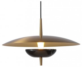 Подвесной светильник Favourite Marmo 4246-1P в Камышлове - kamyshlov.mebel24.online | фото