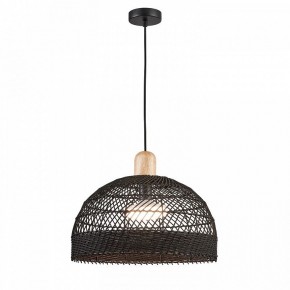 Подвесной светильник Favourite Plat 4461-1P в Камышлове - kamyshlov.mebel24.online | фото 3