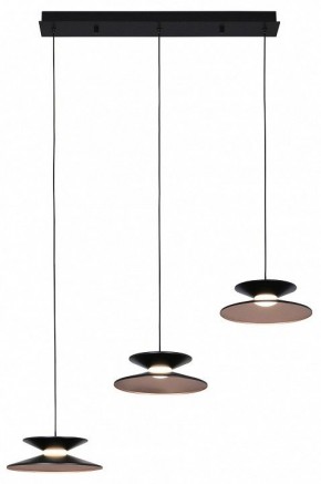 Подвесной светильник Favourite Platt 4372-3P в Камышлове - kamyshlov.mebel24.online | фото 2