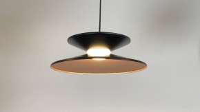 Подвесной светильник Favourite Platt 4372-3P в Камышлове - kamyshlov.mebel24.online | фото 3
