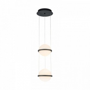 Подвесной светильник Favourite Ringar 4502-2P в Камышлове - kamyshlov.mebel24.online | фото 2