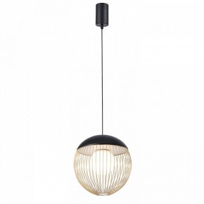 Подвесной светильник Favourite Сore 4240-1P в Камышлове - kamyshlov.mebel24.online | фото