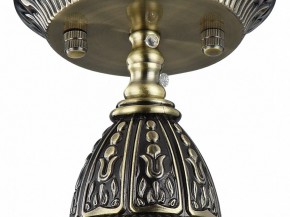Подвесной светильник Favourite Sorento 1584-1P в Камышлове - kamyshlov.mebel24.online | фото 4