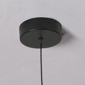 Подвесной светильник Favourite Wilet 4656-1P в Камышлове - kamyshlov.mebel24.online | фото 10