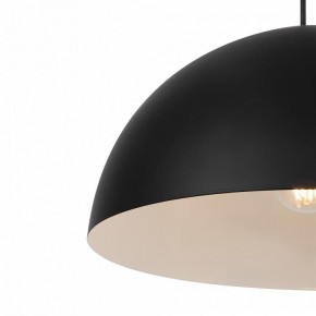 Подвесной светильник Freya Eleon FR5218PL-01B1 в Камышлове - kamyshlov.mebel24.online | фото 7