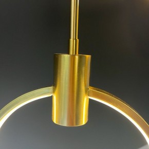 Подвесной светильник Imperiumloft Babetta babetta-ring01 в Камышлове - kamyshlov.mebel24.online | фото 7