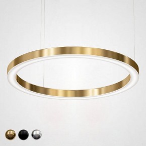 Подвесной светильник Imperiumloft Light Ring Horizontal 40.1454-100 в Камышлове - kamyshlov.mebel24.online | фото