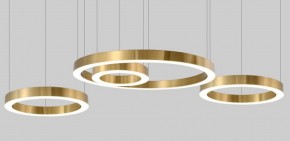 Подвесной светильник Imperiumloft Light Ring Horizontal 40.1454-60 в Камышлове - kamyshlov.mebel24.online | фото 3