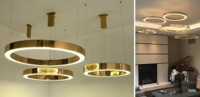 Подвесной светильник Imperiumloft Light Ring Horizontal 40.1454-60 в Камышлове - kamyshlov.mebel24.online | фото 4