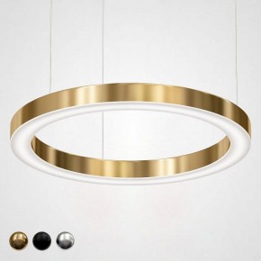 Подвесной светильник Imperiumloft Light Ring Horizontal 40.1454-80 в Камышлове - kamyshlov.mebel24.online | фото