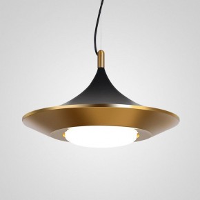 Подвесной светильник Imperiumloft Rask RASK01 в Камышлове - kamyshlov.mebel24.online | фото 2