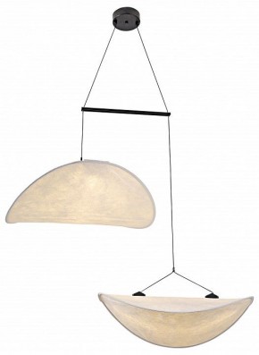 Подвесной светильник Kink Light Брами 08022-60+60,01 в Камышлове - kamyshlov.mebel24.online | фото