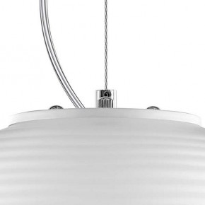 Подвесной светильник Lightstar Arnia 805011 в Камышлове - kamyshlov.mebel24.online | фото 6