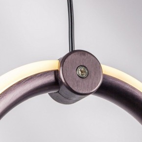 Подвесной светильник Lightstar Caramello 796139 в Камышлове - kamyshlov.mebel24.online | фото 5