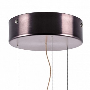 Подвесной светильник Lightstar Celesta 809210 в Камышлове - kamyshlov.mebel24.online | фото 9