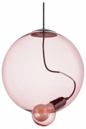 Подвесной светильник Lightstar Colore 805302 в Камышлове - kamyshlov.mebel24.online | фото