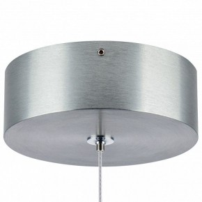 Подвесной светильник Lightstar Colore 805401 в Камышлове - kamyshlov.mebel24.online | фото 7