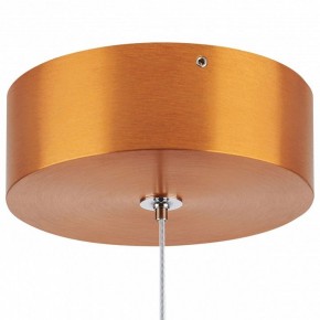 Подвесной светильник Lightstar Colore 805402 в Камышлове - kamyshlov.mebel24.online | фото 6