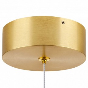 Подвесной светильник Lightstar Colore 805403 в Камышлове - kamyshlov.mebel24.online | фото 7